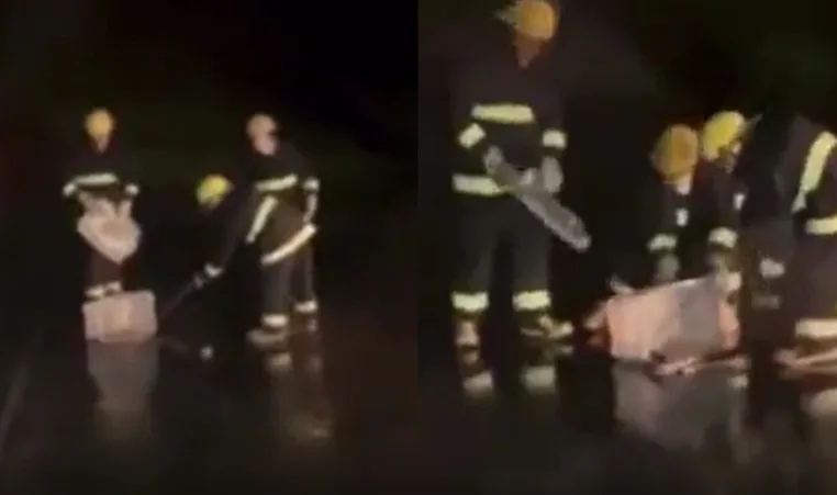 VÍDEO: Cobra na pista faz voo da Azul interromper decolagem em Cuiabá