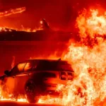 Imagens: Divulgação