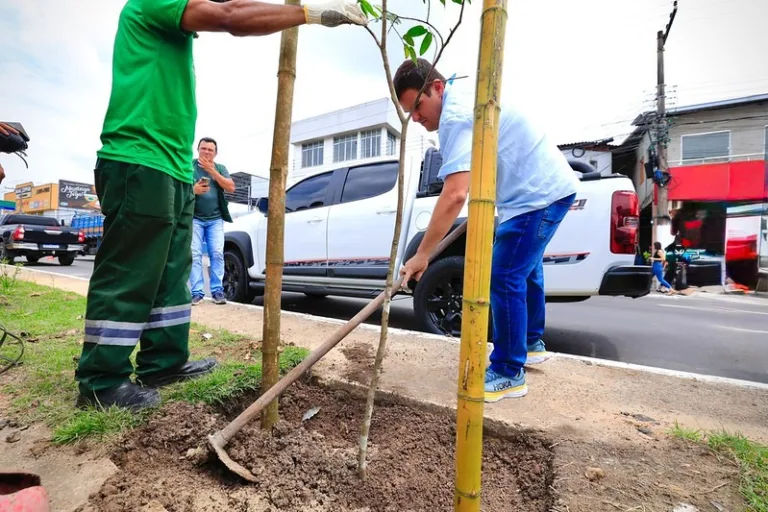 Arborização: Prefeitura anuncia plantio de 15 mil mudas em Manaus Arborização: Prefeitura anuncia plantio de 15 mil mudas em Manaus