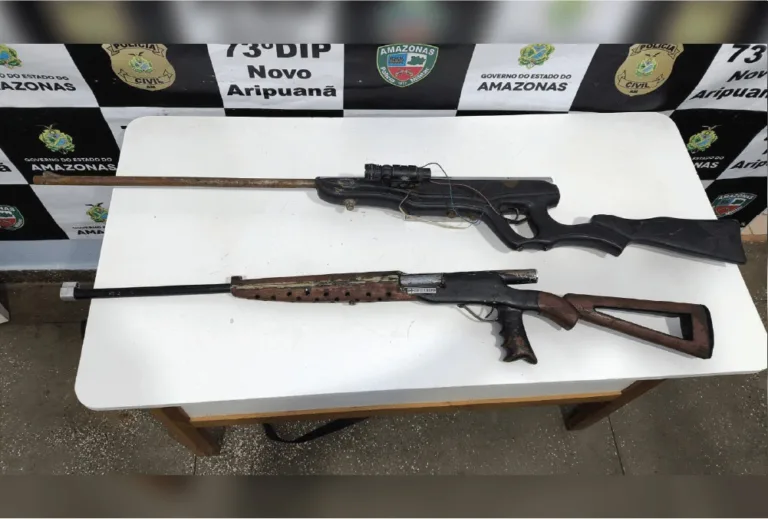 Armas apreendidas em Novo Aripuanã (Foto: Divulgação/PC-AM)