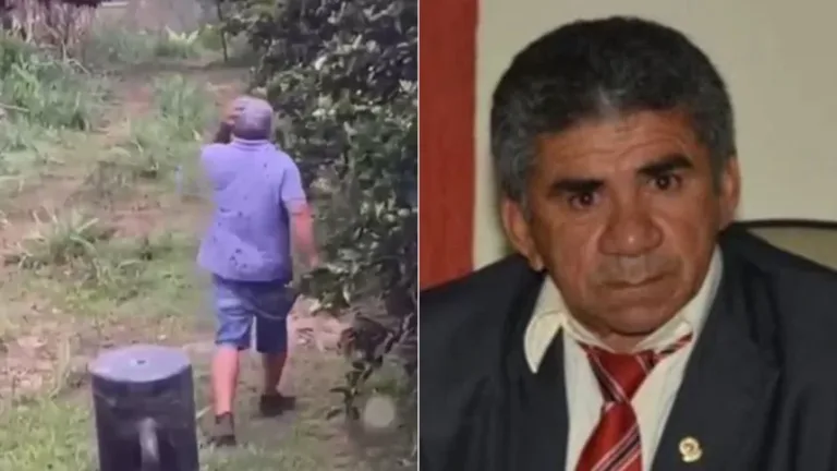 VÍDEO: Ex-vereador do interior do Ceará morre após sofrer ataque de abelhas