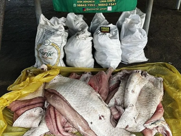 Pescado apreendido. (FOTO: Divulgação)
