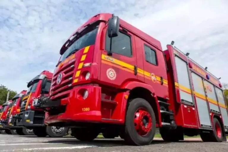 bombeiros, gato, incêndio, Taubaté