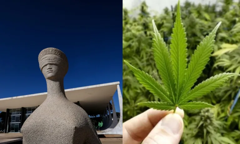 STF segue no entendimento anterior sobre a maconha