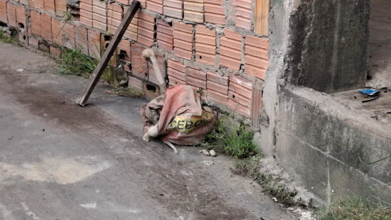 Ossada humana é encontrada em saco na zona Norte de Manaus; Veja