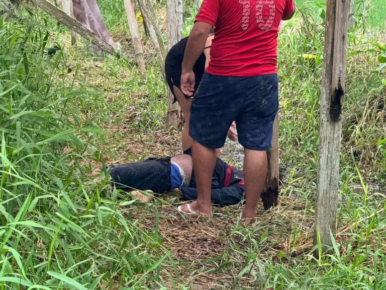 (FOTO: Reprodução)