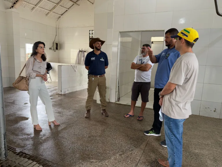 Abatedouro da prefeitura de Nhamundá é interditado por órgãos estaduais