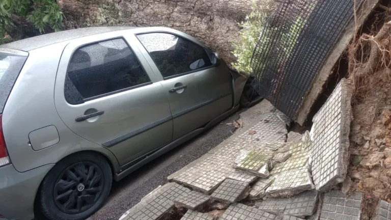 Carro ficou danificado na queda da árvore. (FOTO: Reprodução)