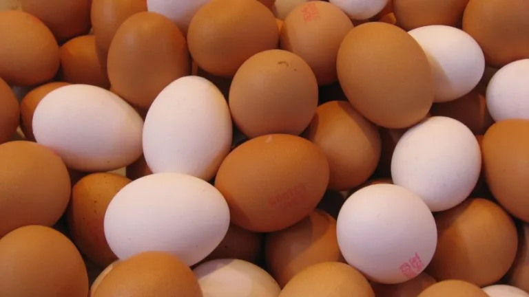 Preço dos ovos deve estabilizar em abril, aponta ABPA