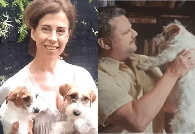"Oscar canino": Cachorros do filme "Ainda Estou Aqui" ganham prêmio internacional