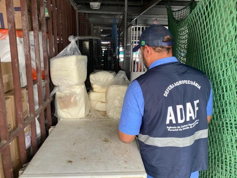 Cerca de 85 kg de queijo qualho são descartados no lixão por risco à saúde em Tefé