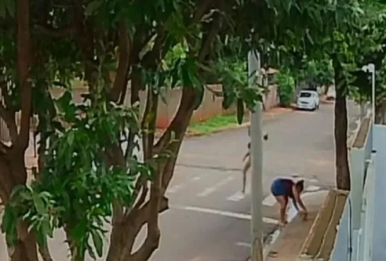 VÍDEO: Cachorra de prefeito é furtada no portão de casa em MS