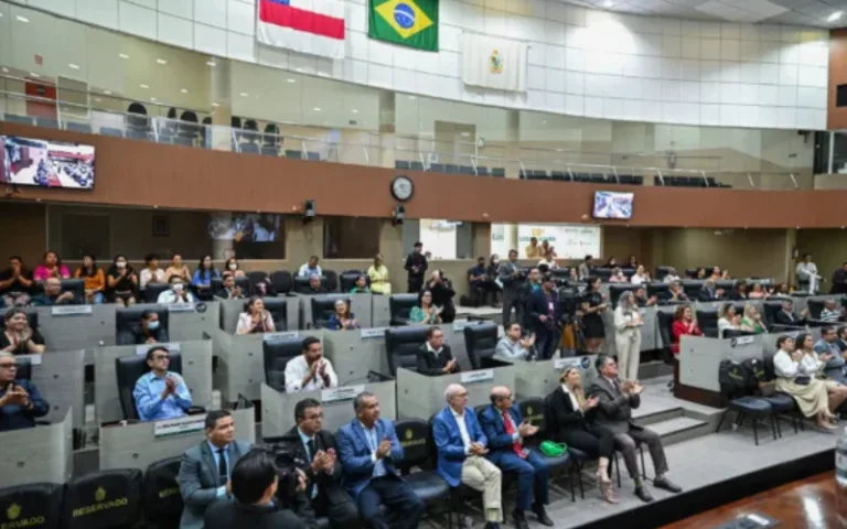 Vereadores são investigados por possível fraude nas eleições - (Foto: Banco de Imagens/CMM).