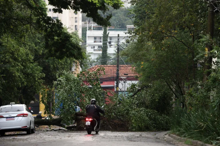 Temporal mata uma pessoa, derruba mais de 300 árvores e deixa 173 mil imóveis sem luz em São Paulo