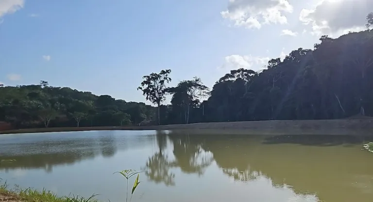 Ipaam multa piscicultores por atuarem de forma irregular em Presidente Figueiredo