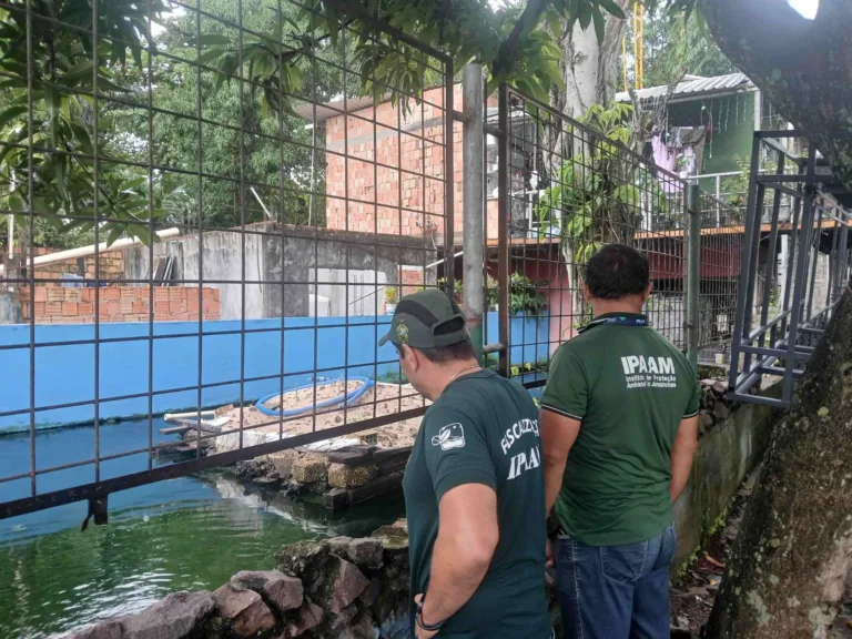 Ipaam multa em R$ 140 mil homem por criar tartarugas, pirarucus e tambaquis ilegalmente em casa no Parque Dez