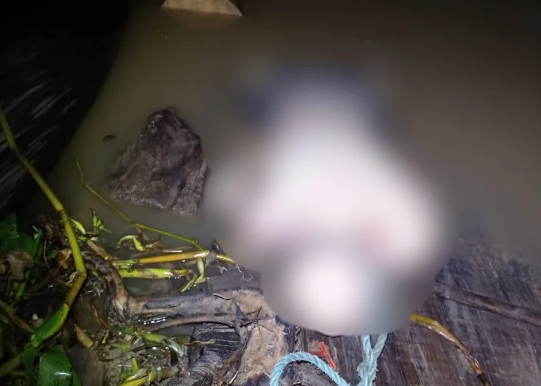 IMAGEM FORTE: Corpo em estado de decomposição é encontrado em rio de Manacapuru