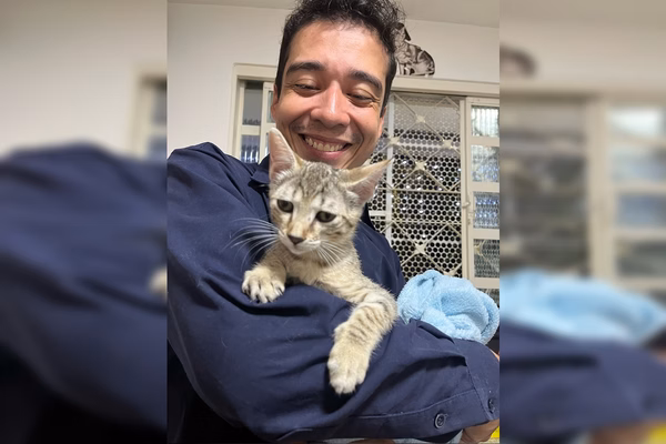 REVOLTANTE: Áudios confirmam crueldade de psicólogo com 16 gatos