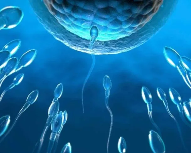 Conheça o gel contraceptivo masculino