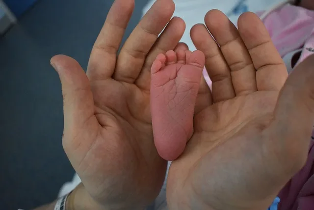 Brasil registra queda no número de nascimentos e de divórcios, segundo IBGE Brasil registra queda no número de nascimentos e de divórcios, segundo IBGE