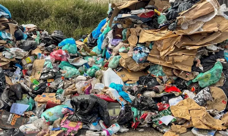 Os agentes de limpeza procuravam latinhas no lixão quando encontraram o feto.