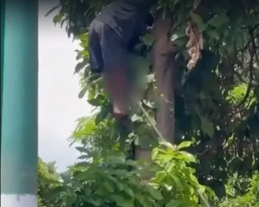 Adolescente de 17 anos é resgatado com ‘zagaia’ cravada na perna no Amazonas; veja vídeo