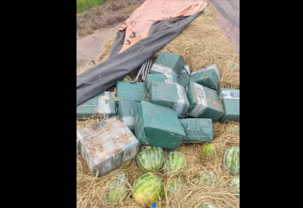 PF apreende meia tonelada de cocaína em Tocantins; a maior da história em 15 anos
