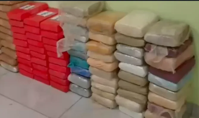 Polícia apreende 280 kg de drogas e desmantela esquema de tráfico no Amazonas - (Foto: Divulgação).