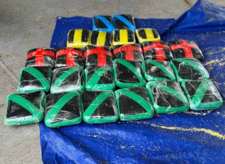 Polícia apreende 36 kg de drogas em sacos com farinha em barco no Amazonas