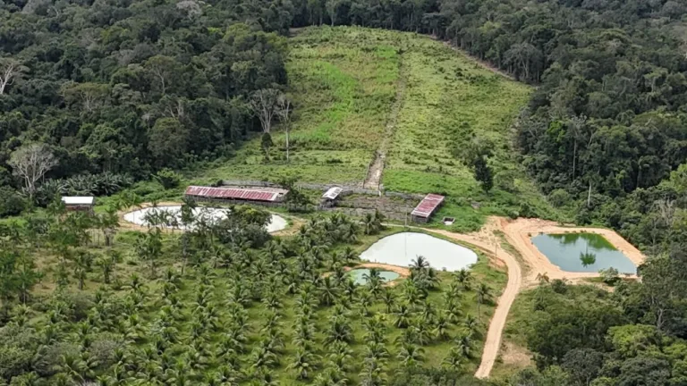 Imóvel rura é multado em R$ 1,6 milhão por crimes ambientais no Rio Preto da Eva