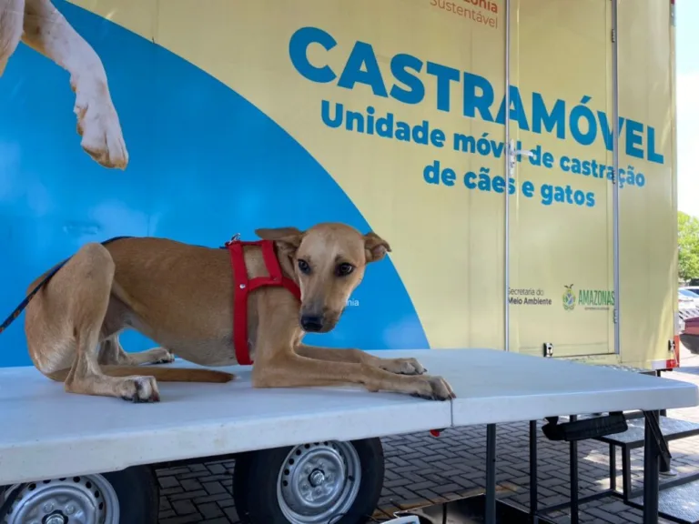 Castramóvel Fluvial sairá do papel e surgirá para atender comunidades ribeirinhas