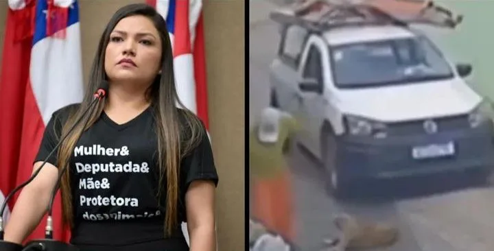 Joana Darc pede que Amazonas Energia pague custos do tratamento de cachorro atropelado por servidor: "Os custos estão altíssimos"