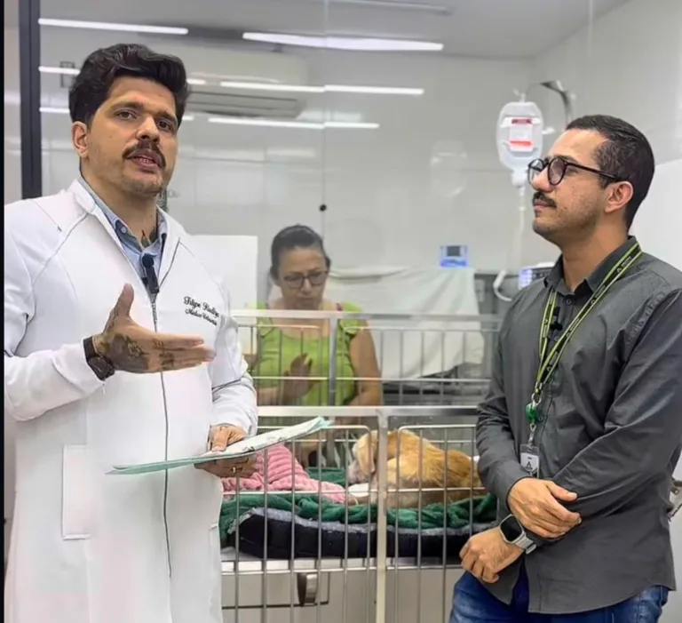 Cadela Madonna vai passar por cirurgia após ser atropelada por funcionário da Amazonas Energia
