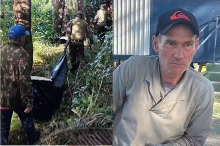 VÍDEO: Veja o momento da captura da onça que matou caseiro no Pantanal