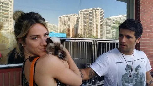 Gato fica preso em roda de carro de atriz e Corpo de Bombeiros é acionado