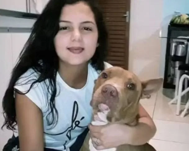 Mulher foi atacada pelo cão
