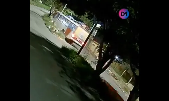 VÍDEO: Motorista perde o controle e ônibus bate em árvore, em Manaus