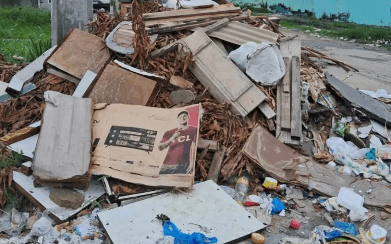 Descarte irregular de lixo - (Foto: Divulgação/Semulsp).