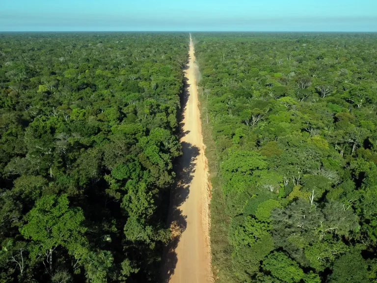 BR-319: Deputados do Amazonas se manifestam sobre veto de Lula contra recuperação da rodovia