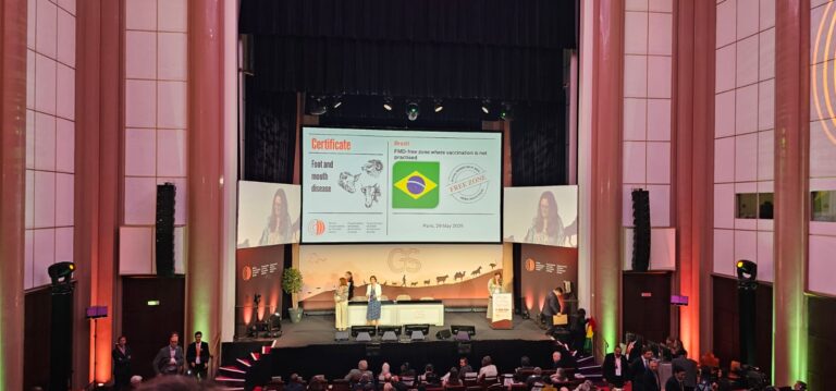 Amazonas recebe status internacional ‘livre de aftosa’ sem vacinação