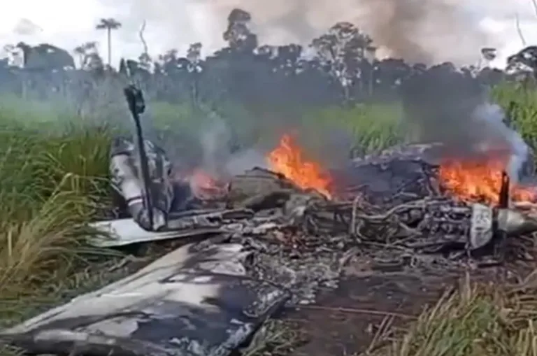 Avião com drogas cai em área de mata - (Foto: Reprodução).