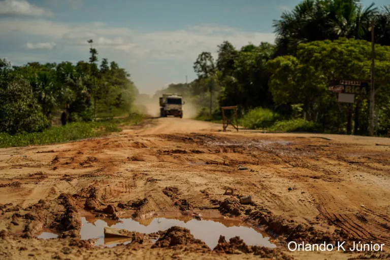 Desmatamento cresce 67% na área de influência da BR‑319 em abril, aponta Observatório