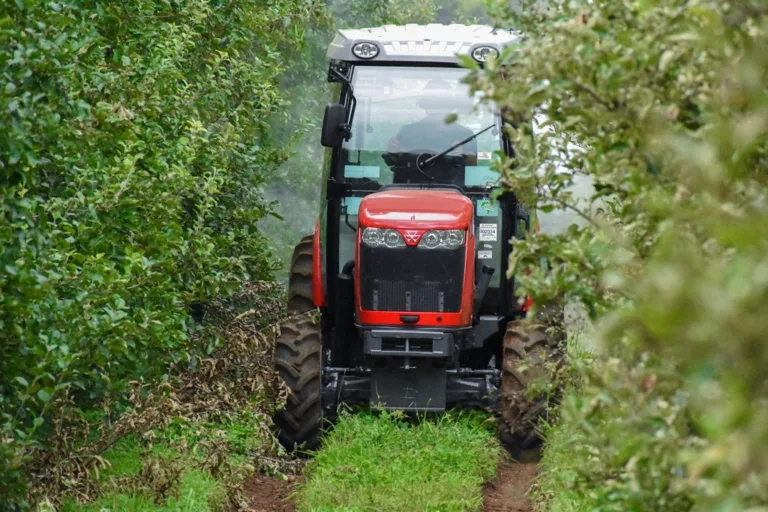 Agronegócio no Amazonas cresce mesmo com seca histórica