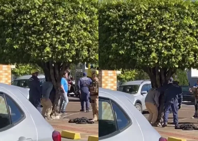 VÍDEO: Homem embriagado prende a cabeça em tronco de árvore, em SC