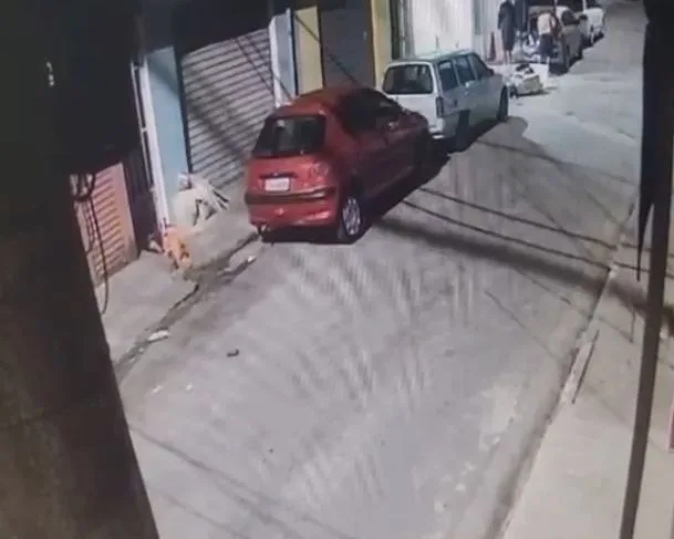 Homem mata ex-esposa e esconde corpo