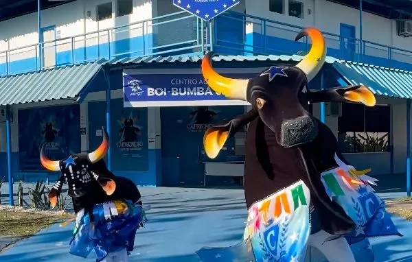 Escola de Arte do Boi Caprichoso recebe recursos.