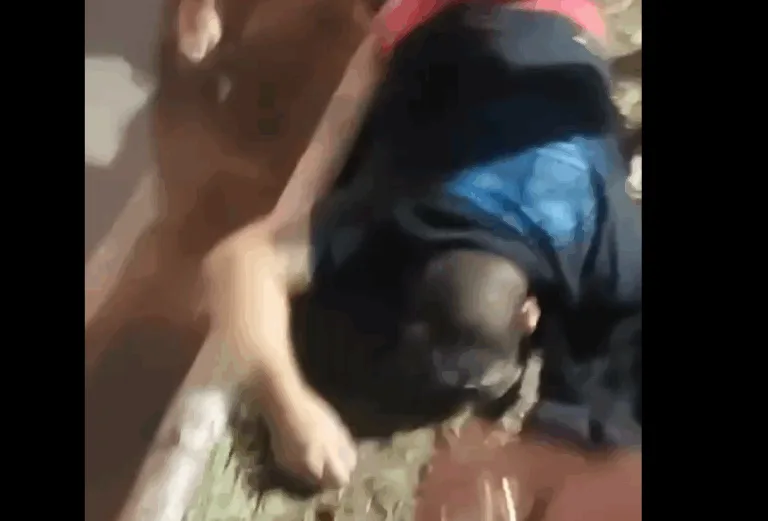 Motociclista morre e outro fica ferido em grave acidente em Manacapuru; vídeo