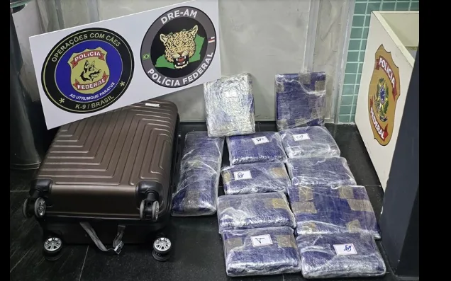 Passageira é presa com cerca de 14 kg de skunk no aeroporto de Manaus