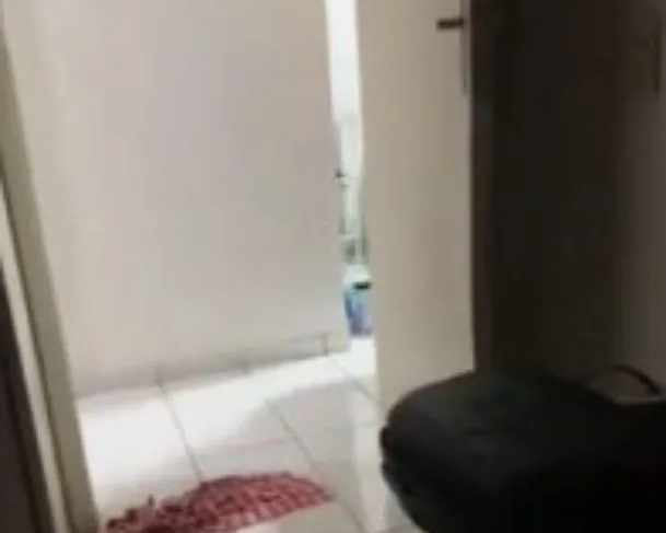 Vídeo circula na internet