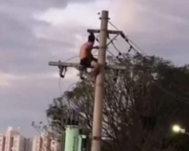 Engenheiro teve 'surto' antes de ser eletrocutado - (Foto: Reprodução/X).